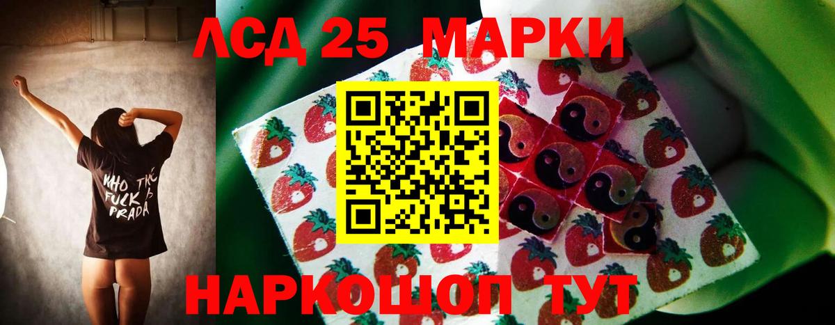 Бердск  Лсд 25 экстази кислота  LSD-25 экстази  Вход с VPN  Лсд 25 экстази кислота 